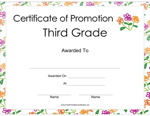 Third Grade Promotion