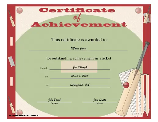 Achievement - Cricket certificate
