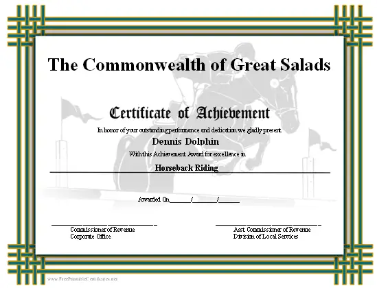 Achievement - Horse Vaulting certificate