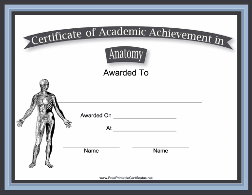 Anatomy Academic