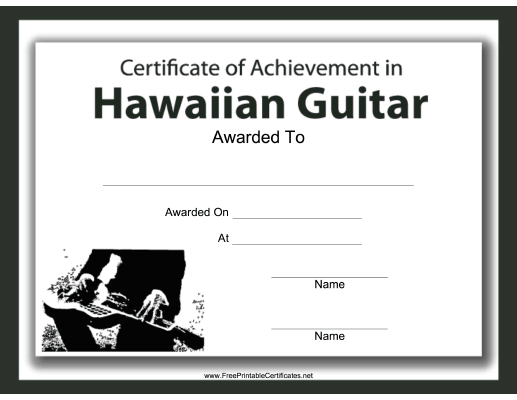 Hawaiian Guitar Instrumental Music