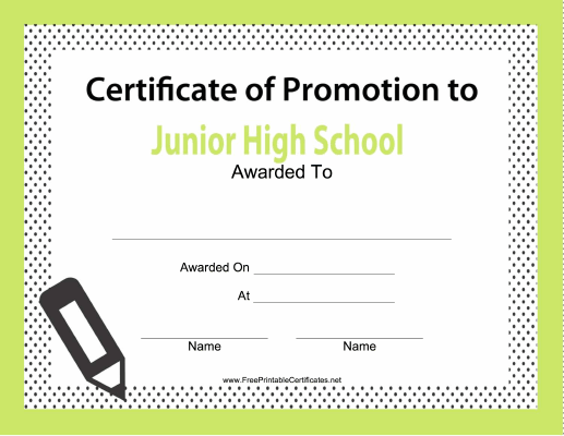 Junior High School Promotion