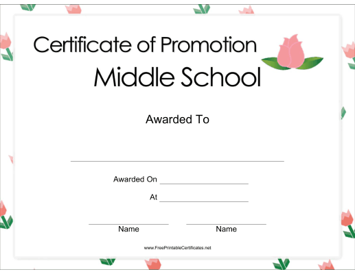 Middle School Promotion