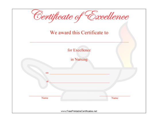 Excellence in Nursing certificate