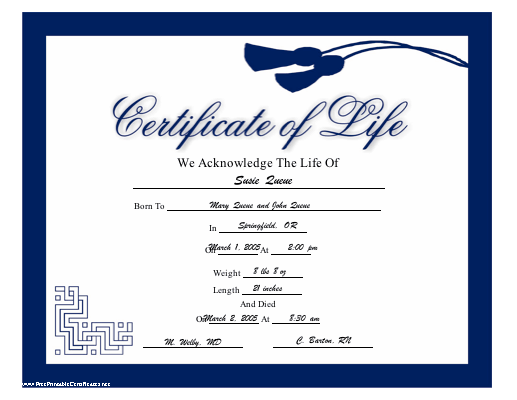 Life certificate