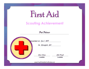 First Aid Level 2 Badge