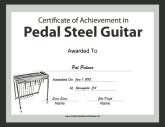 Pedal Steel Guitar Instrumental Music