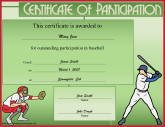 Baseball Participation