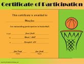 Basketball Participation